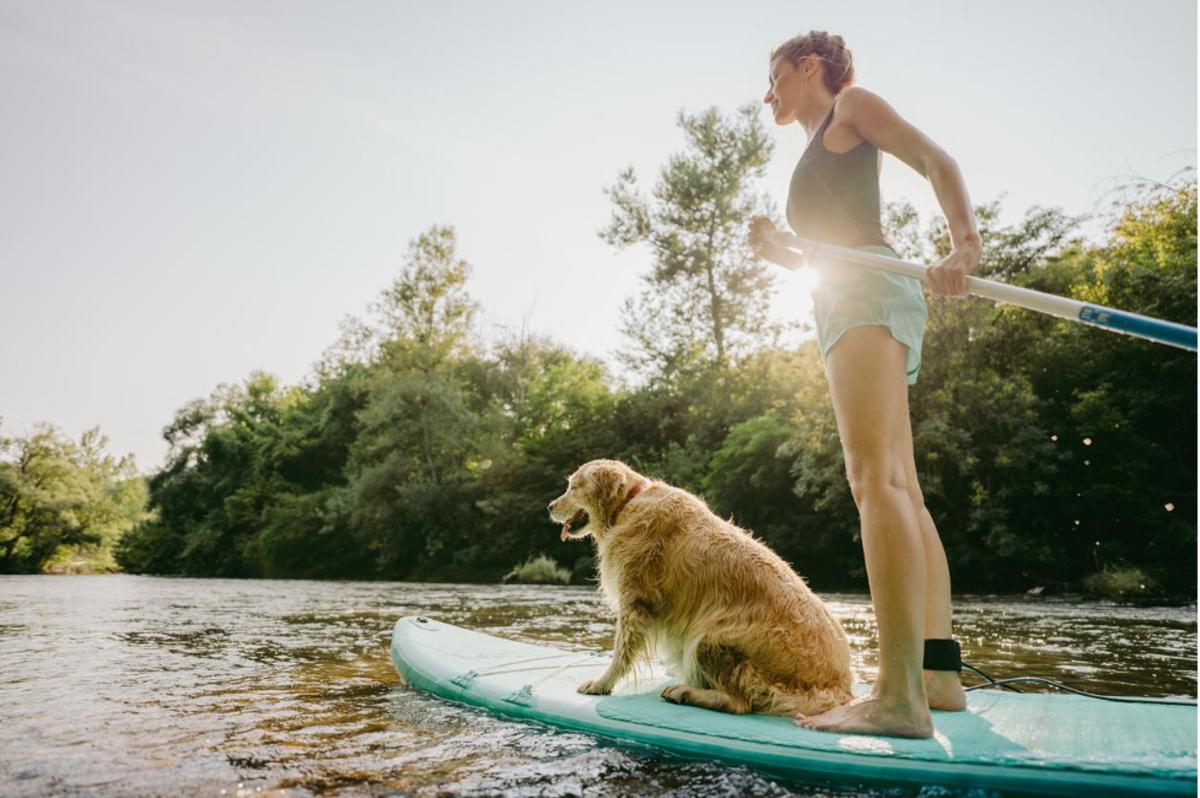 paddleboard